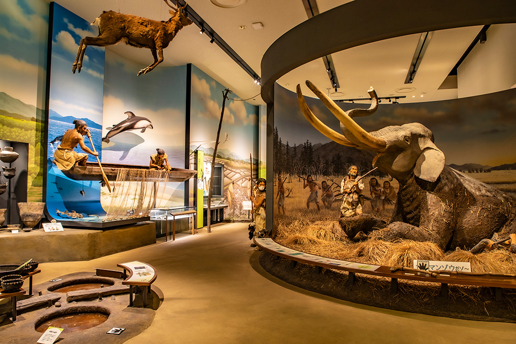 「自然とともに」のコーナー/兵庫県立考古博物館(播磨町)