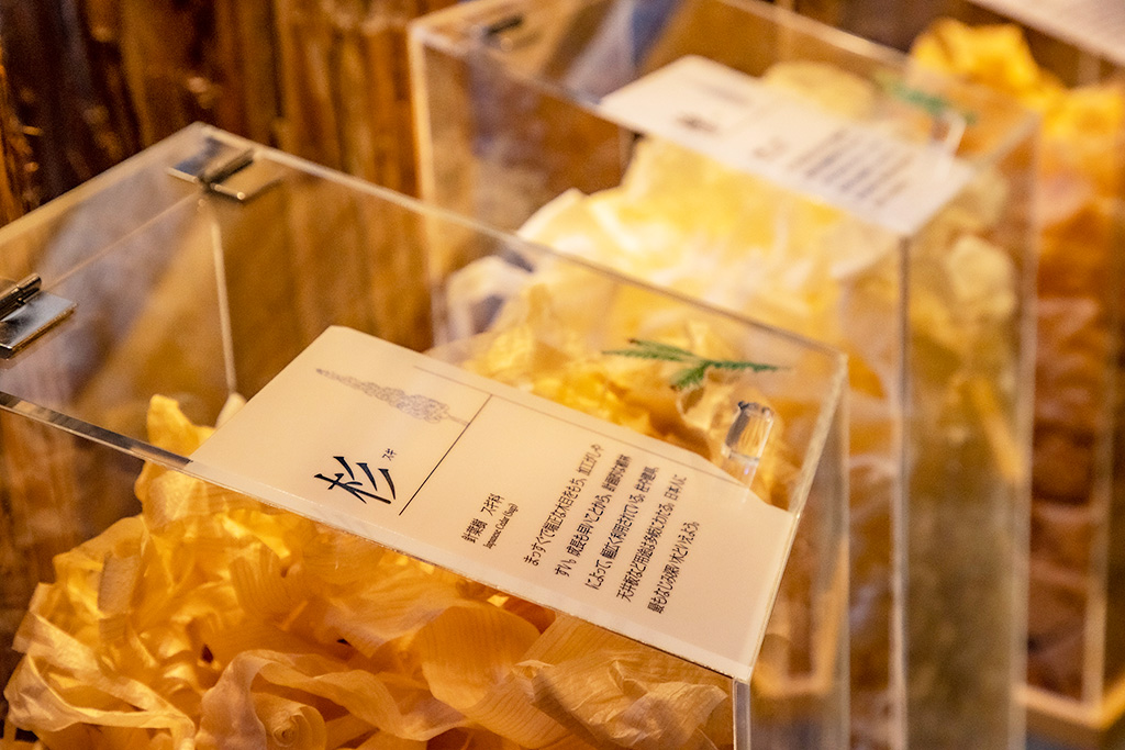 10種類以上の木材を並べて展示/竹中大工道具館（兵庫県/神戸市）