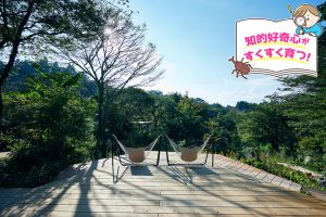 ROKKO森の音ミュージアム（兵庫県）で六甲山の自然の中でオルゴールなどの音にふれる