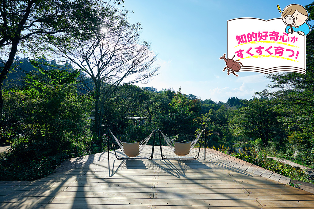 ROKKO森の音ミュージアム（兵庫県/神戸市）