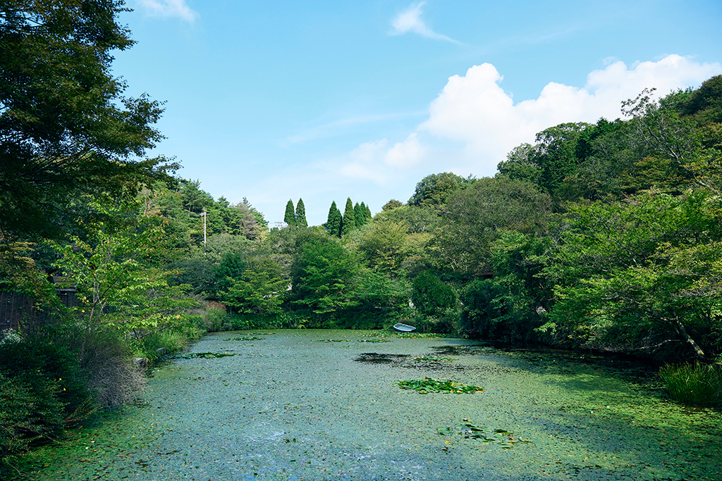 「SIKIガーデン~音の散策路~」/ROKKO森の音ミュージアム(兵庫県/神戸市)