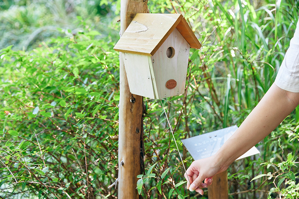 「オルゴール巣箱」/ROKKO森の音ミュージアム(兵庫県/神戸市)