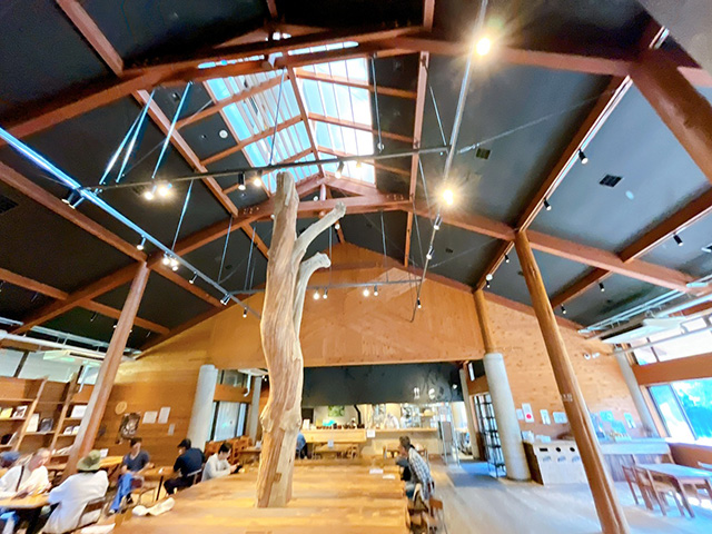 店内中央の大木とそれを取り囲む大テーブル/道の駅 四季の郷公園(和歌山県/和歌山市)