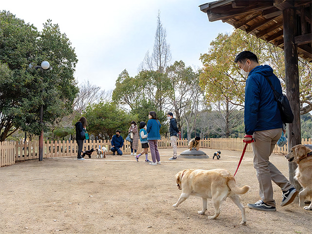 「ドッグパーク」/道の駅 四季の郷公園(和歌山県/和歌山市)