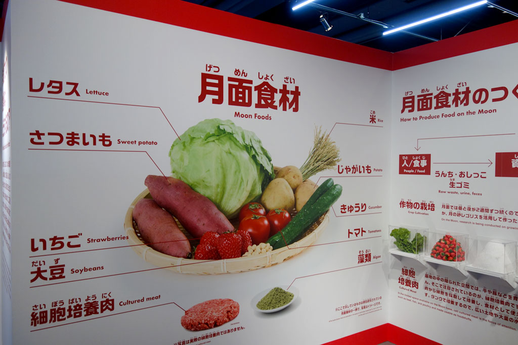 月面食堂/特別展「NEO 月でくらす展 ~宇宙開発は、月面移住の新時代へ!~」/日本科学未来館(東京都/江東区)