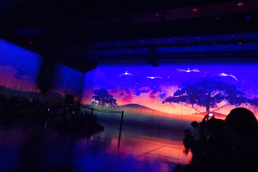 DINO SAFARI　会場の様子