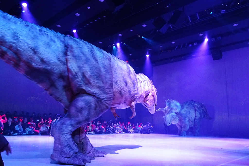 DINO SAFARI　ティラノサウルスとトリケラトプスの戦い