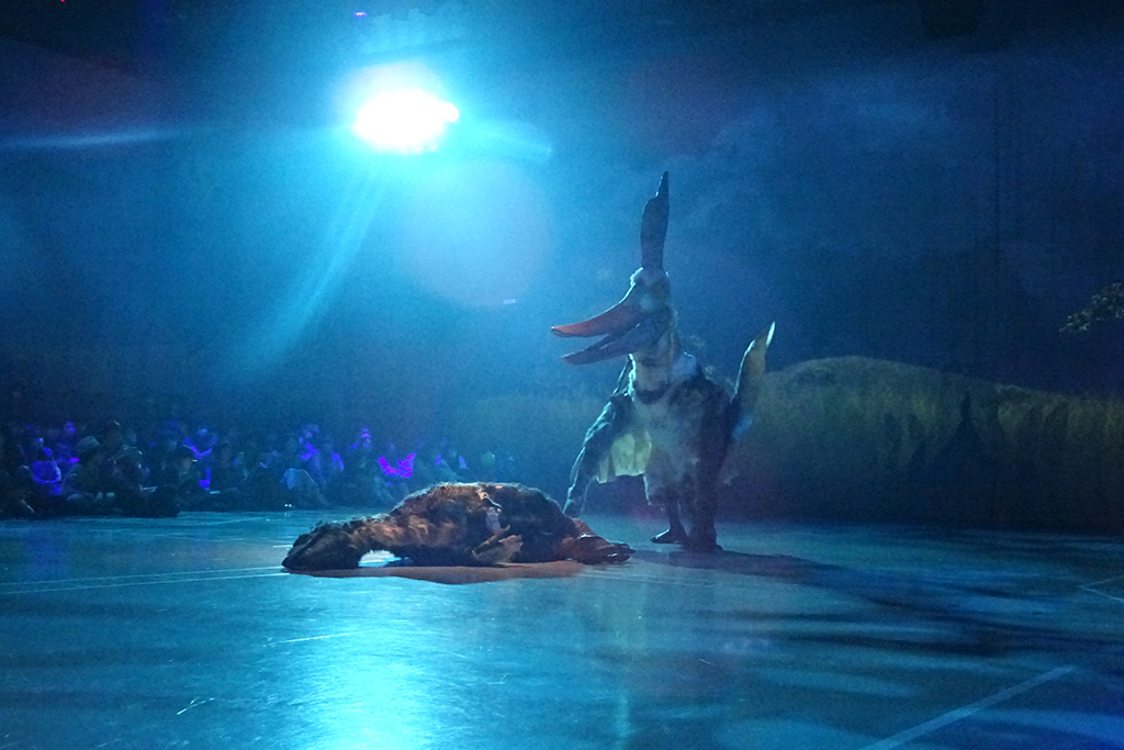 DINO SAFARI　ゲオステルンベルギア