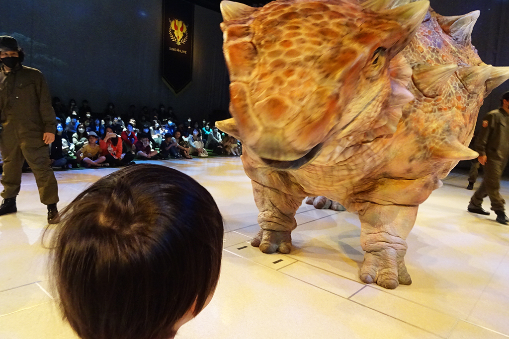 DINO SAFARI　アンキロサウルスとのふれあい2