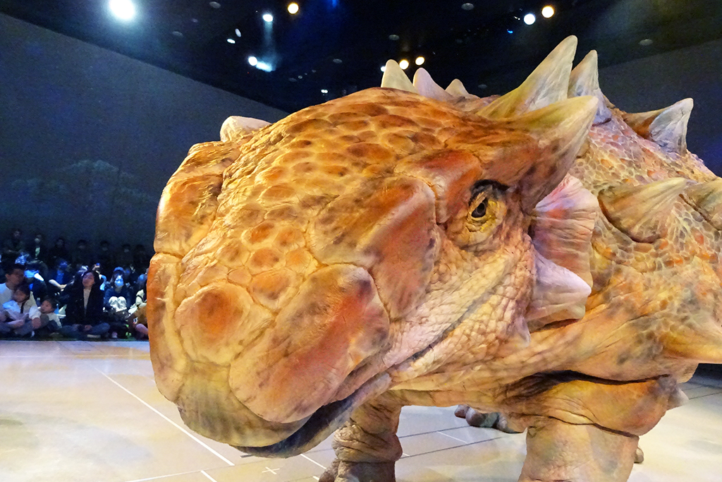 DINO SAFARI　アンキロサウルスのアップ
