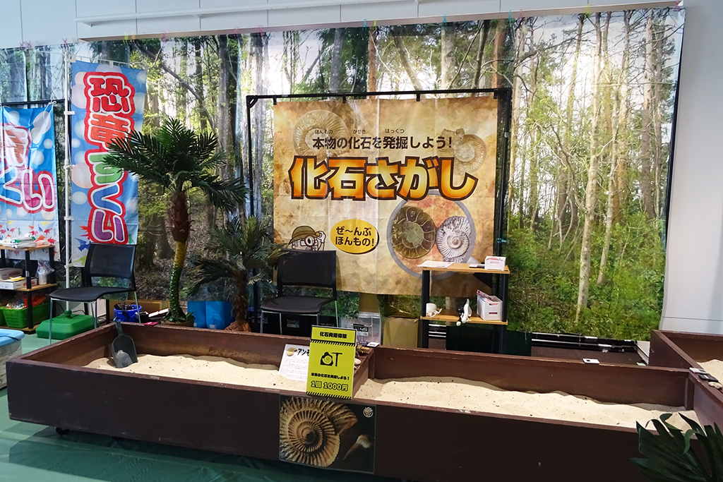 DINO SAFARI　化石さがし