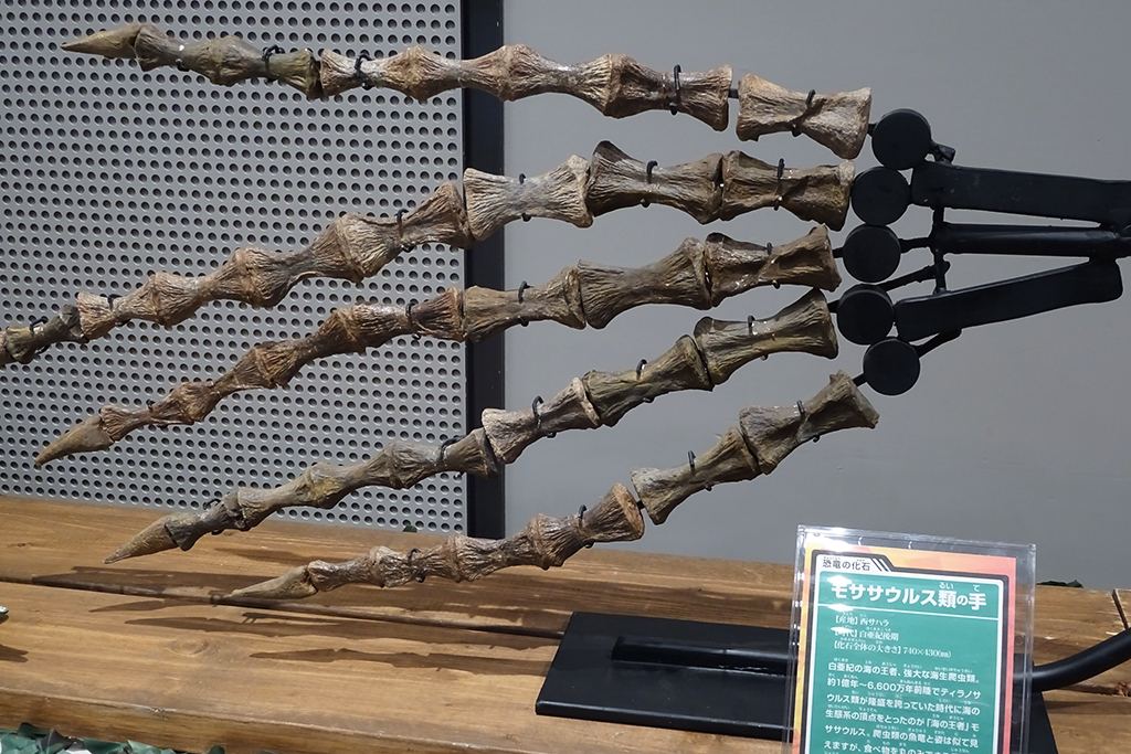 DINO SAFARI　モササウルスの手