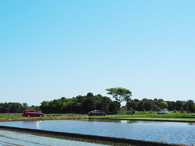 田植え体験の会場/まなびファーム（千葉県/九十九里町）