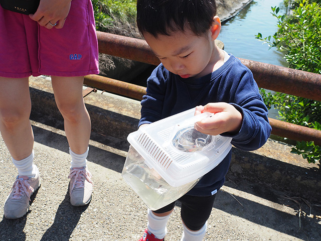 田植え体験の様子/まなびファーム（千葉県/九十九里町）