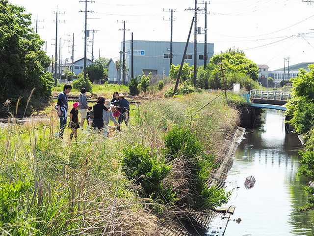 水生生物捕獲観察会の様子/まなびファーム（千葉県/九十九里町）