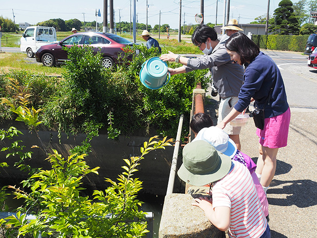 川の生き物を返す様子/まなびファーム（千葉県/九十九里町）