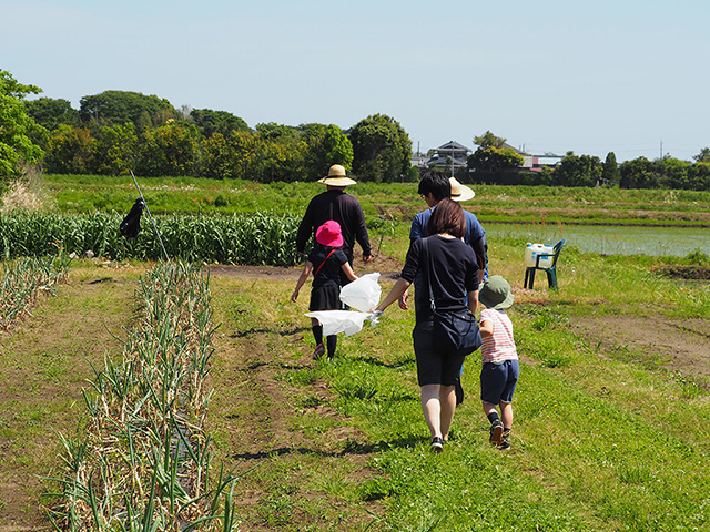 野菜収穫体験の畑/まなびファーム（千葉県/九十九里町）