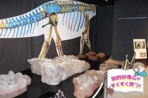 兵庫県立人と自然の博物館（兵庫県）は大迫力の化石や子ども向けワークショップが豊富