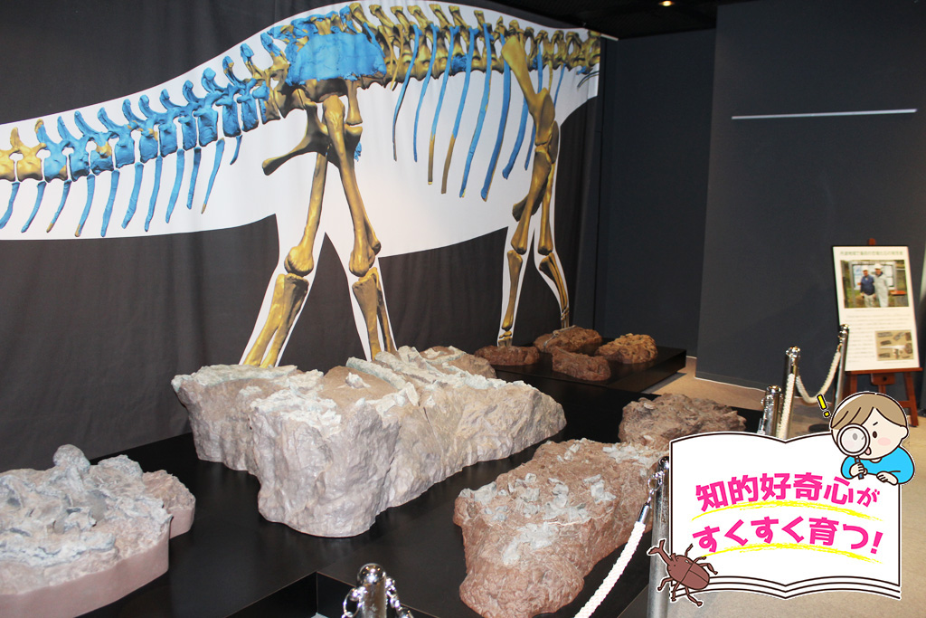 兵庫県立人と自然の博物館（三田市）