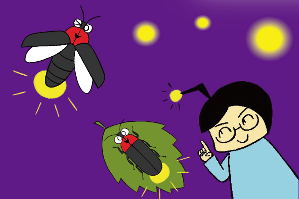 幻想的な光が舞う！ホタル/昆虫芸人　堀川ランプ監修