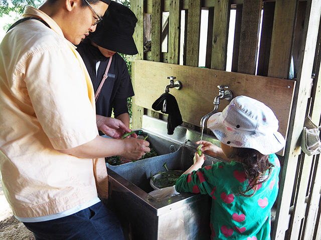 野菜を洗う様子/森本農園（千葉県/木更津市）