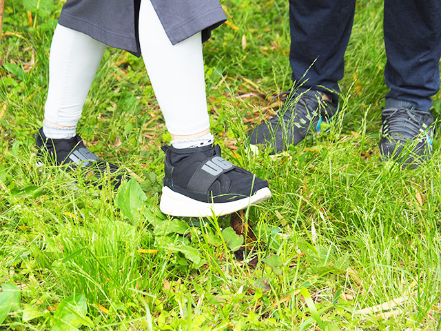 タケノコの見つけ方/森本農園（千葉県/木更津市）