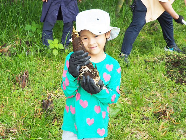 タケノコ掘りの様子/森本農園（千葉県/木更津市）