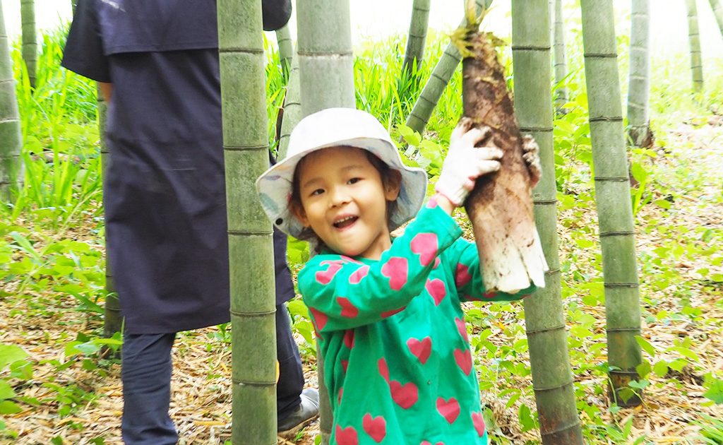 千葉・木更津でタケノコ掘り！野菜収穫体験とBBQが1年中できる空と大地