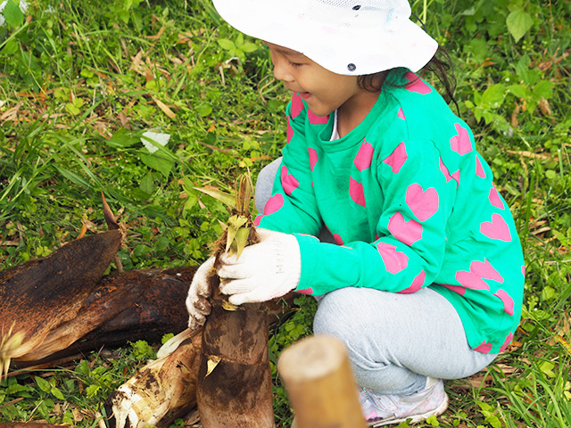 タケノコ掘りの様子/森本農園（千葉県/木更津市）