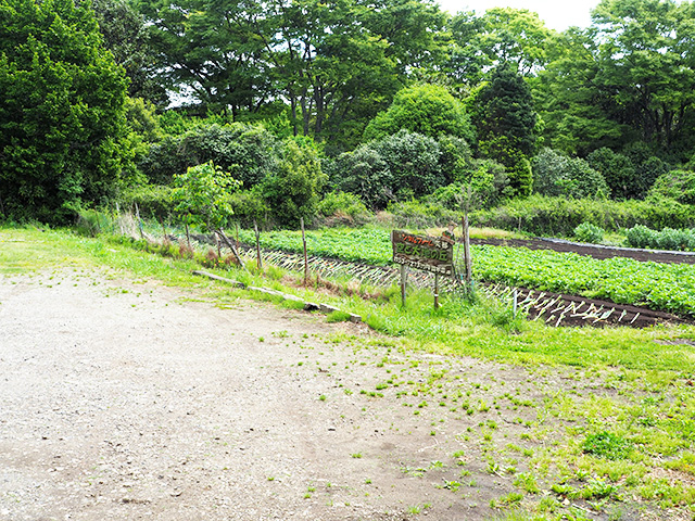 空と大地の丘　森本農園（千葉県/木更津市）