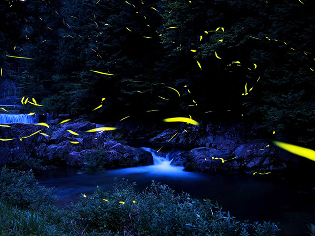 門和佐川（岐阜県／下呂市）