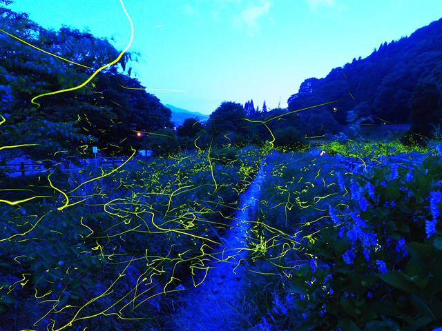 松尾峡(ほたる童謡公園)（長野県／上伊那郡辰野町）