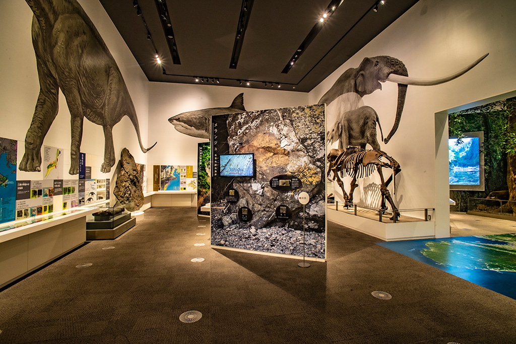 展示室/三重県総合博物館MiMu（津市）