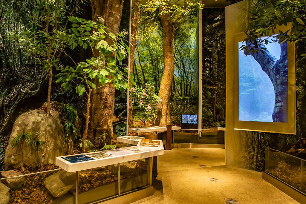 展示室/三重県総合博物館MiMu（津市）