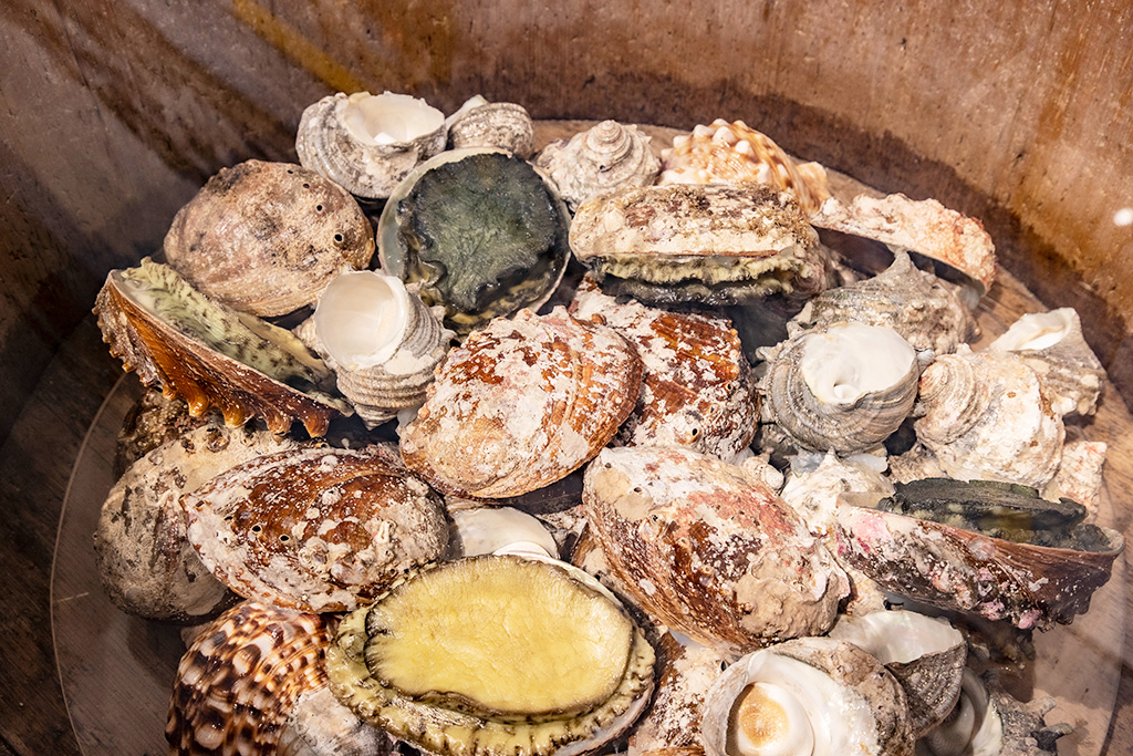 海女さん文化の展示/三重県総合博物館MiMu（津市）