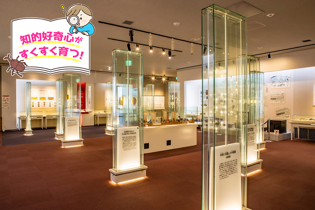 造幣博物館（大阪府/大阪市）