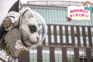 大阪中之島美術館（大阪府）は展示以外にもみどころ満載！アートで子どもの感性を刺激しよう