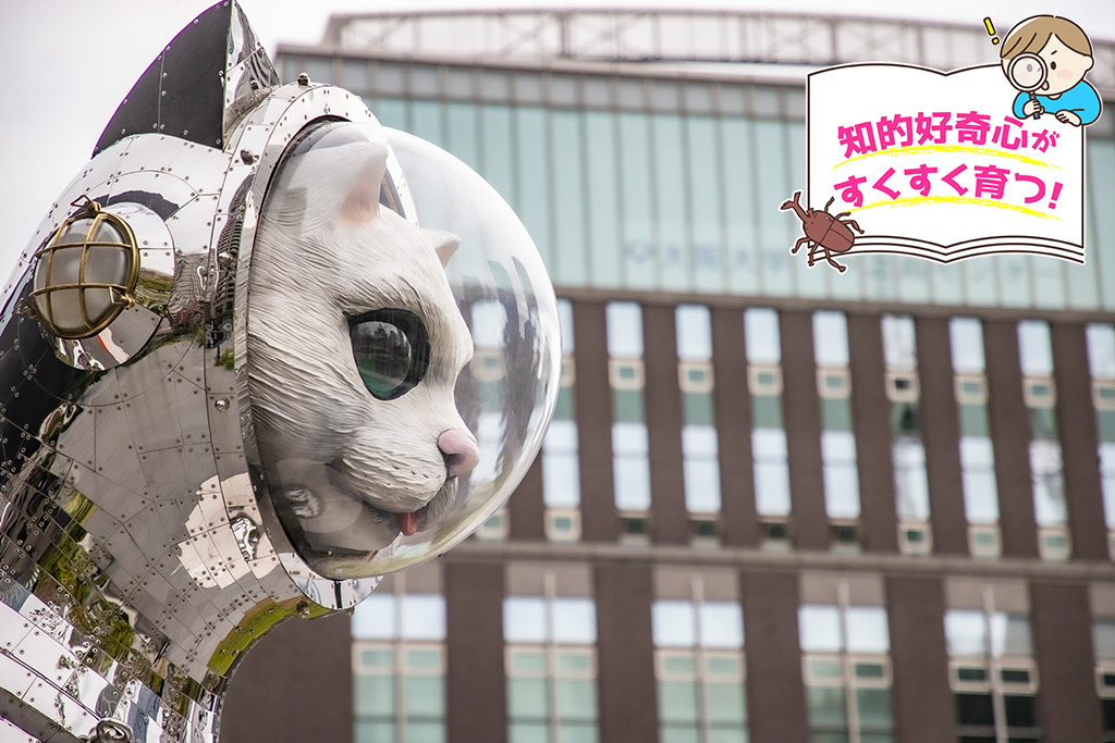 /大阪中之島美術館（大阪府/大阪市）