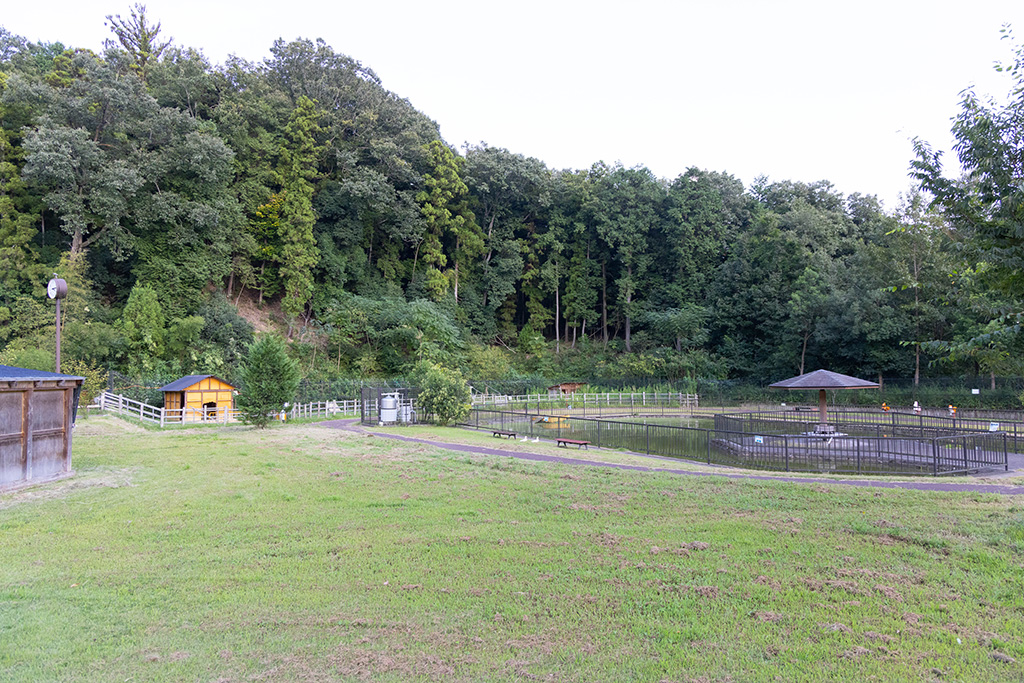 芝生の広場/福知山市動物園(京都府)