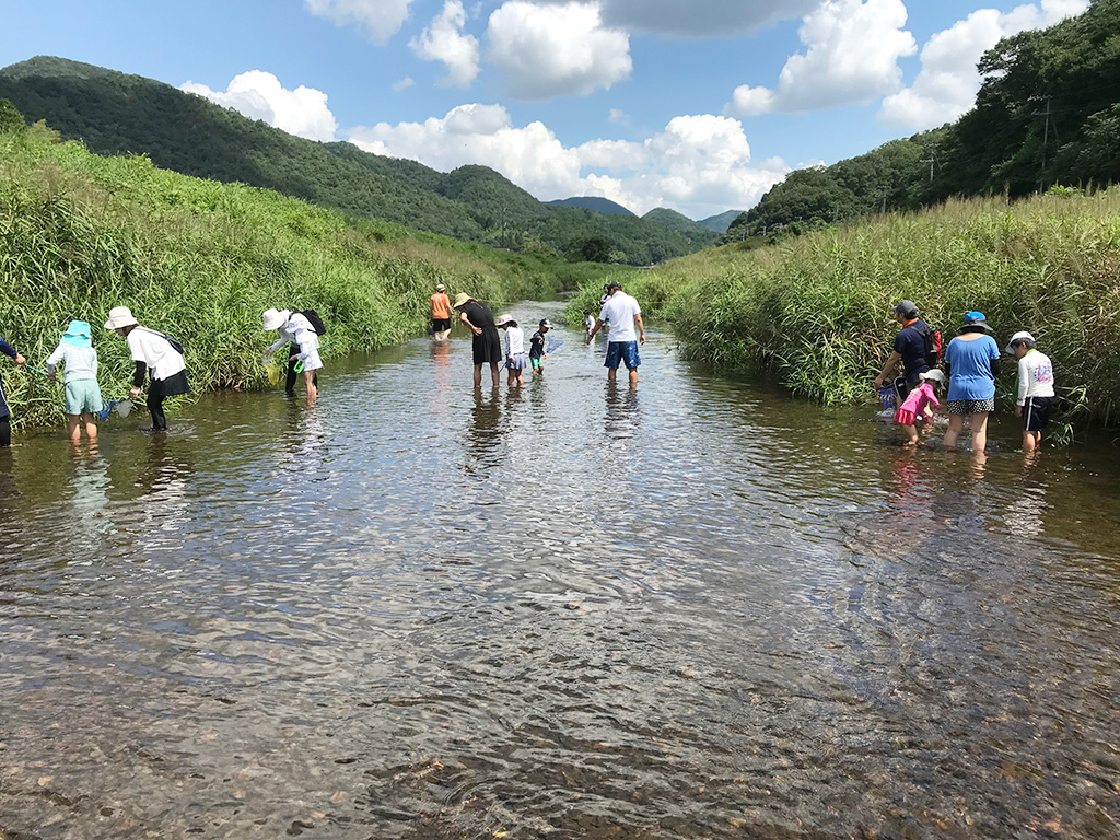生きもの探し/篠山チルドレンズミュージアム（兵庫県/丹波篠山市）