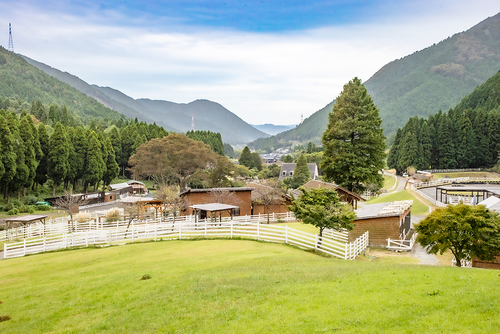 神崎農村公園 ヨーデルの森(兵庫県/神河町)