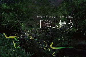 都会でホタル観賞!? 新梅田シティ・中自然の森で 6/4まで「ホタルの放流」