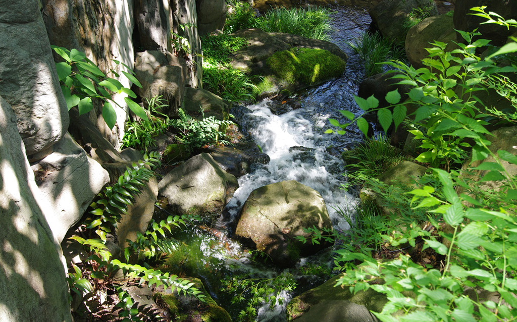 「新梅田シティ・中自然の森」ゲンジボタルの放流（大阪府/大阪市）