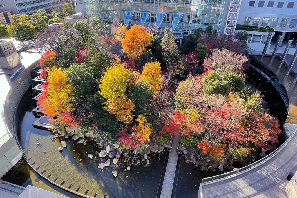 「新梅田シティ・中自然の森」ゲンジボタルの放流（大阪府/大阪市）