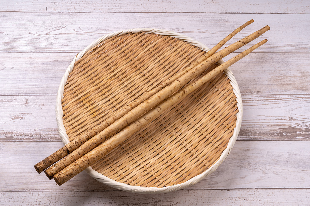 6月が旬の野菜:ごぼう