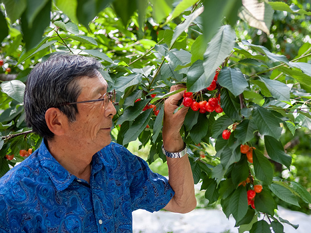 マルタカラ農園