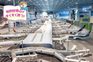 関空展望ホール スカイビュー・スカイミュージアム（大阪府）で空の世界を体感しよう！