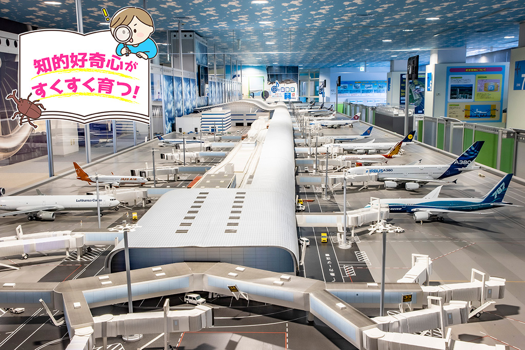 関空展望ホール スカイビュー・スカイミュージアム（大阪府/泉佐野市）