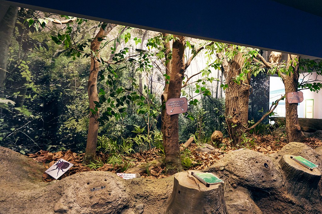 ジオラマ「大和盆地の自然と昆虫」/橿原市昆虫館（奈良県/橿原市）