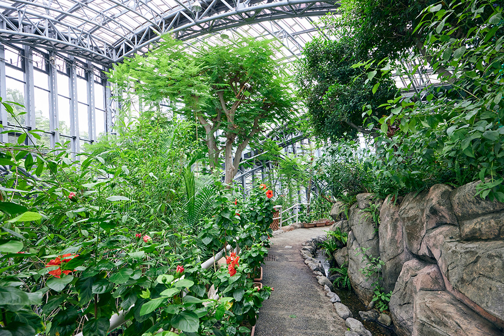 「放蝶温室」/橿原市昆虫館（奈良県/橿原市）